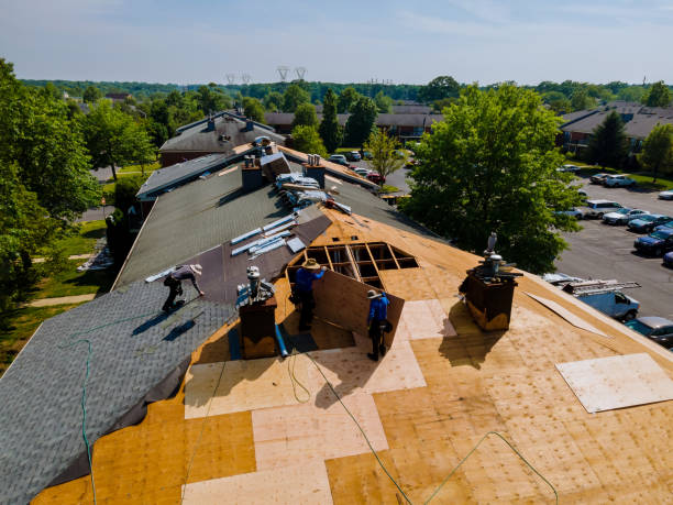 Best Metal Roofing Contractor  in Hanceville, AL