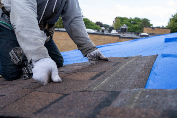 Quick and Trustworthy Emergency Roof Repair Services in Hanceville, AL